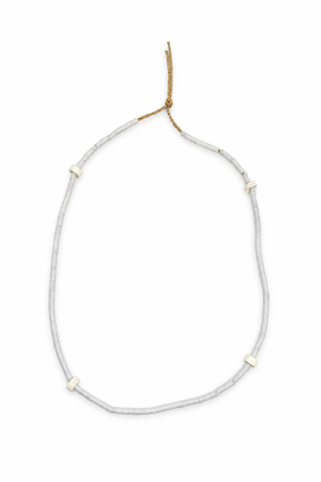 Horn shell and shark bone necklace