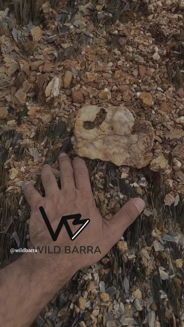 Load video: 